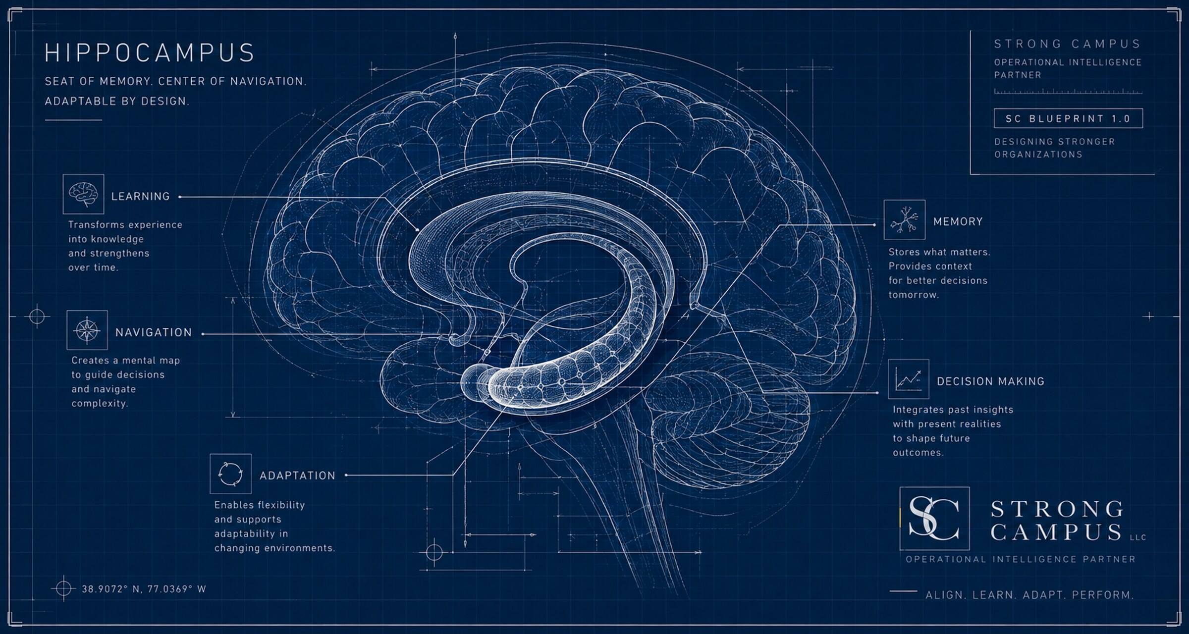 Animated technical blueprint illustration of the hippocampus, representing memory, learning, and navigation