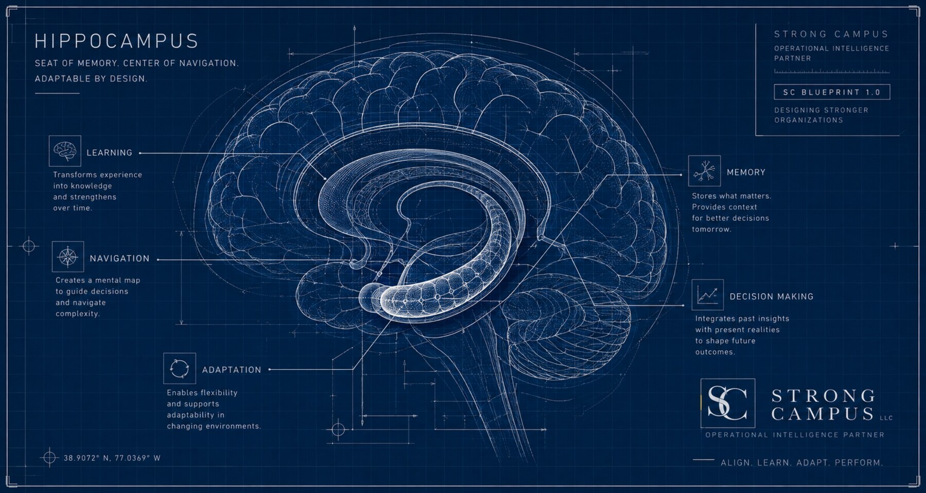 Blueprint-style illustration of the hippocampus labeled with Learning, Memory, Navigation, Decision Making, and Adaptation